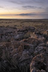 Landscape Antelope Island in late afternoon Utah USA