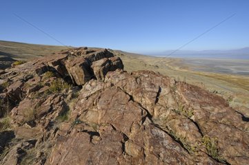 Landscape of Antelope Island Utah USA