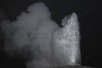 The Old Faithful geyser at night in the Yellowstone NP USA