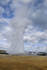 The Old Faithful geyser in Yellowstone NP USA