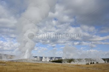 The Old Faithful geyser in Yellowstone NP USA