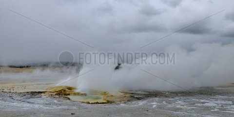 Spasm Geyser Fountain Paint Pol in Yellowstone NP USA