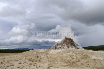 White Dome Geyser in Yellowstone NP USA