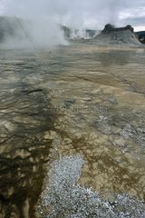 Castle Geyser in the Yellowstone NP Wyoming USA