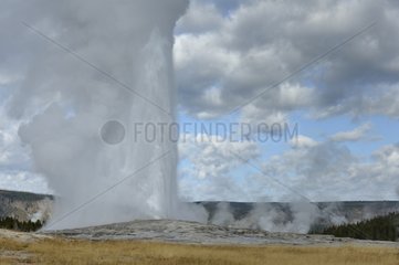Old Faithful Geyser in the Yellowstone NP Wyoming USA
