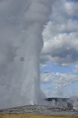 Old Faithful Geyser in the Yellowstone NP Wyoming USA