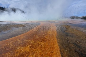 Grand Prismatic Spring in the Yellowstone NP USA