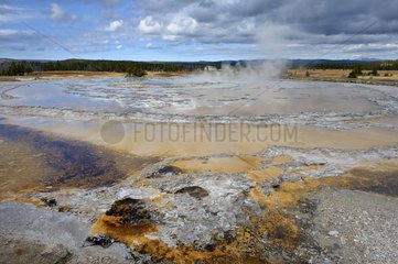 Great Fountain Geyser in the Yellowstone NP USA