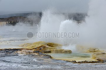 Spasm Geyser in the Yellowstone NP USA