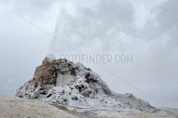 White Dome Geyser in the Yellowstone NP USA