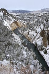 Yellowstone River near Fall Detower Yellowstone NP USA