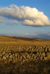 Clouds and stone low walls on Aubrac plateau