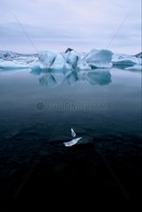 Reflexionen von Eisbergen auf dem Joenkulsarlon Lakeland