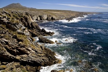 Rocky coast of Pebble Island Falkland Islands Atlantic Ocean
