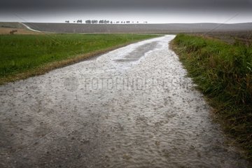 Rain on a country road in France