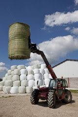Unloading hay bales in roundballer France