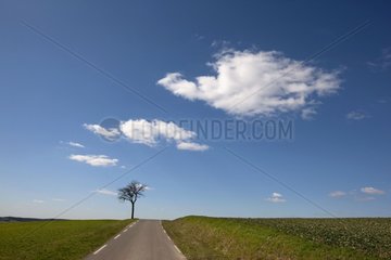 Country road surrounded by fields France
