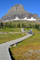 Hiking trail in Glacier National Park  Montana  USA