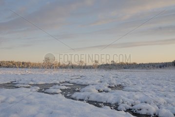 Frozen lake in the taiga in Finland