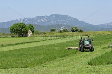 Mowing of grass and Pic Saint-Loup in France