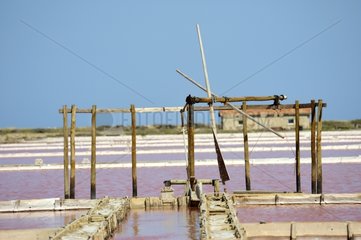 Salt marshes of the island of St. Martin Languedoc-Roussillon