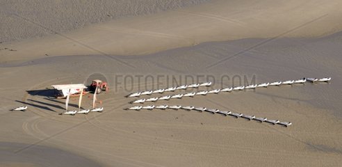 Aerial view of sand yachting on the beach Quend Somme