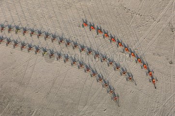 Aerial view of sand yachting on the beach Berck-sur-Mer