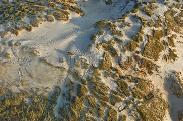 The dunes at Berck-sur-Mer on the Côte d'Opale France