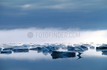 Icebergs Babbage bay Boothia peninsula Arctique canadien