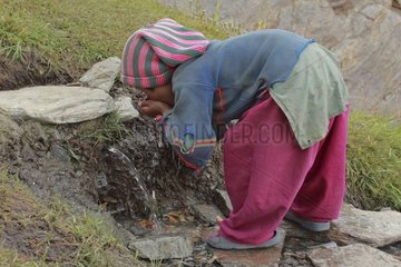 Junges Mädchen von Bergen  die in einer Quelle Zanskar India trinken