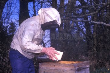 Bienenkeeper aufstellt Süßigkeiten in seinem Bienenstock Frankreich