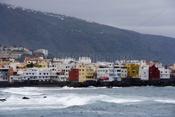 Town of Puerto of Cruz Tenerife Canary Islands
