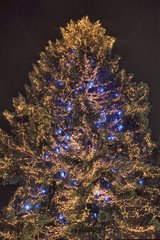 Christmas tree decorated with blue garlands