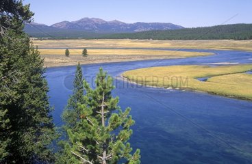 River in the Hayden valley Park of Yellowstone USA
