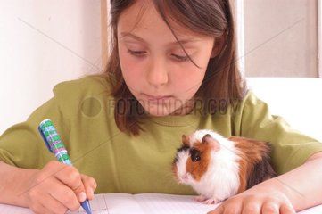 Mädchen macht ihre Hausaufgaben mit ihrem Meerschweinchen
