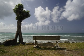 Bench in front of the Caribbean sea in Martinique