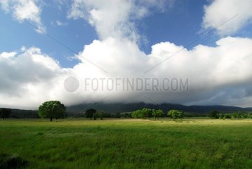 Cumulus above Pic Saint Loup and meadow France