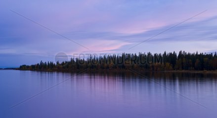 Taiga along a river in autumn Vaala Finland