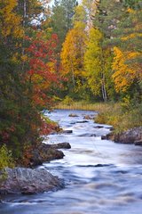 River and Boreal forest in fall Lapland Finland