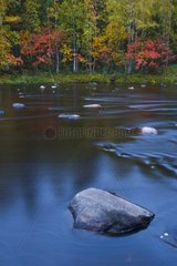 River in boreal forest in autumn Lapland Finland