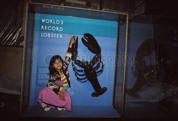 Girl and World's Record Lobster Museum of Boston USA