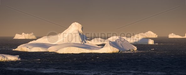 Sunset on a iceberg of Southern Ocean Terre Adelie