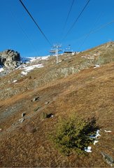 Lack of snow in January on a ski slope Savoie France