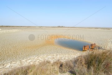 Dried out pond in Camargue France