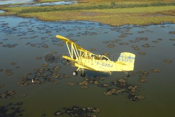 Plane treating against mosquitos flying over the Gold pond
