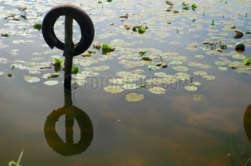 Berth tire for pleasure boat in a lake
