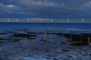 Boin Windpark auf der Insel Noirmourier Vendée
