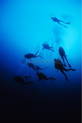Group of divers swimming in the Maldives