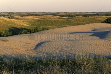 Landscape of sandy hills Alberta Canada