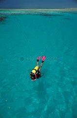 Diver swimming on surfaces in an lagoon Egypt